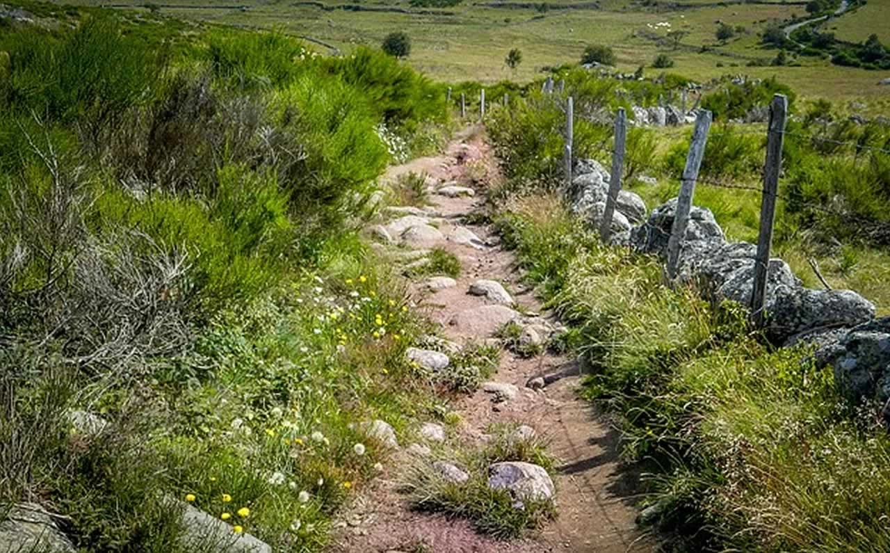 L’Aubrac, un plateau nature unique