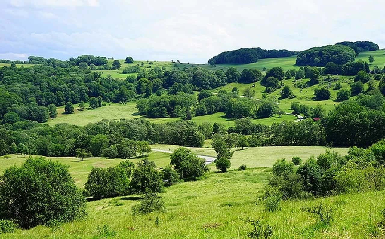 Le massif du Jura, pays d’eau et de bois