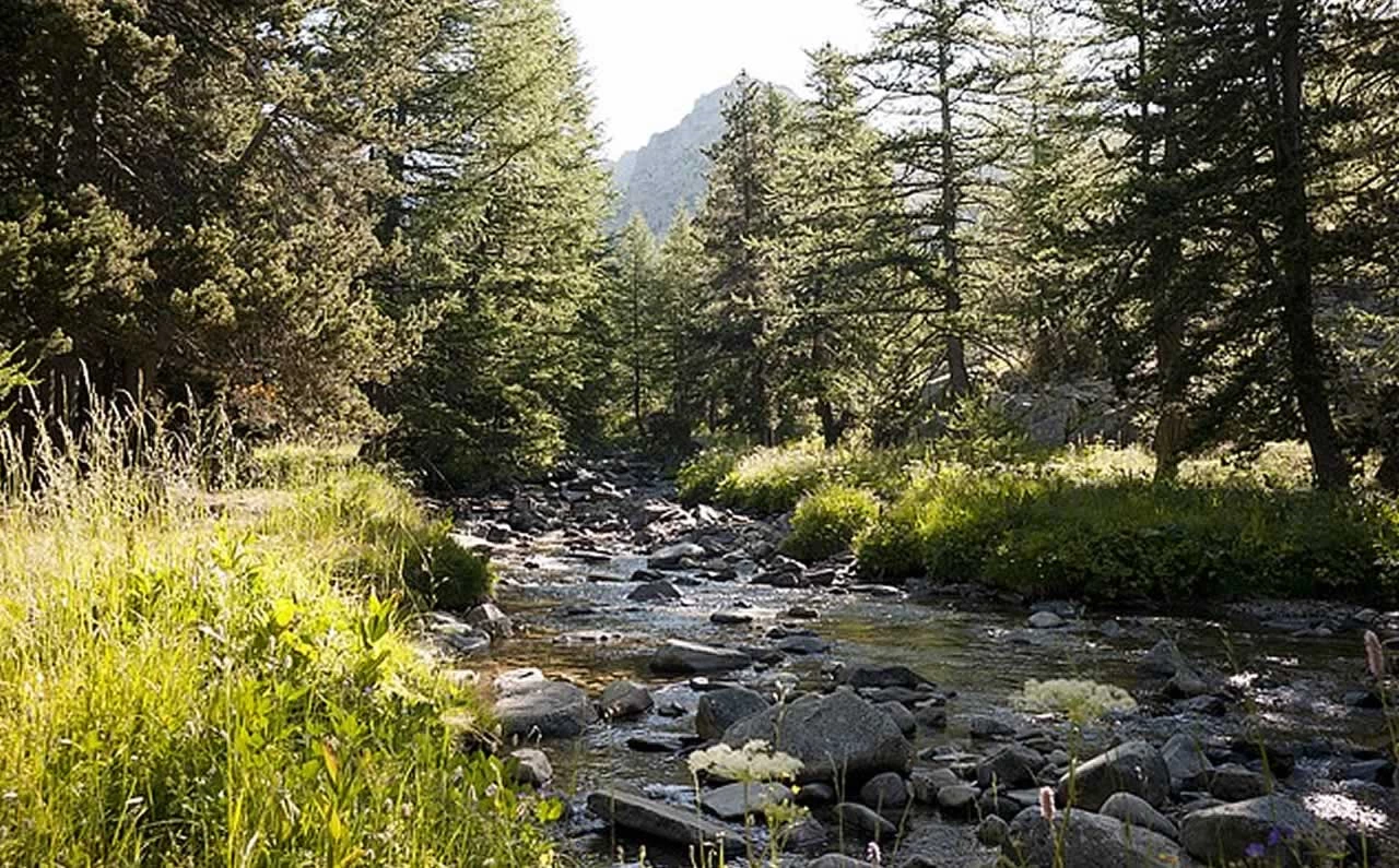 Le parc du Mercantour, des monts et merveilles